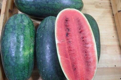 黑瓜吃料入口在哪里买的,揭秘神秘购买渠道